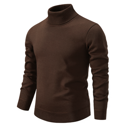 David | Chic Turtleneck For Men