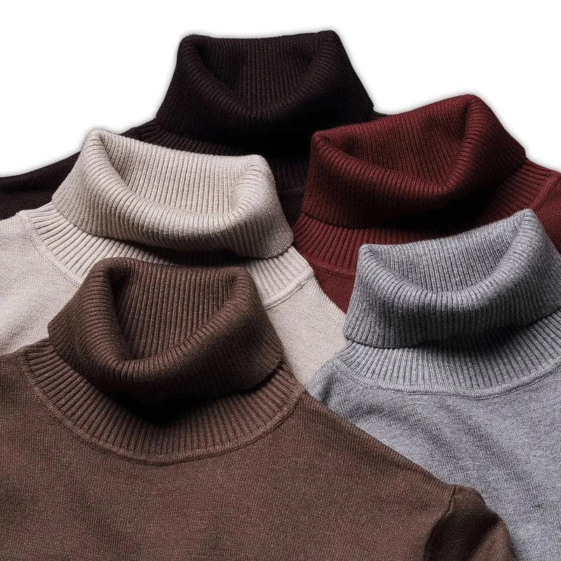 David | Chic Turtleneck For Men