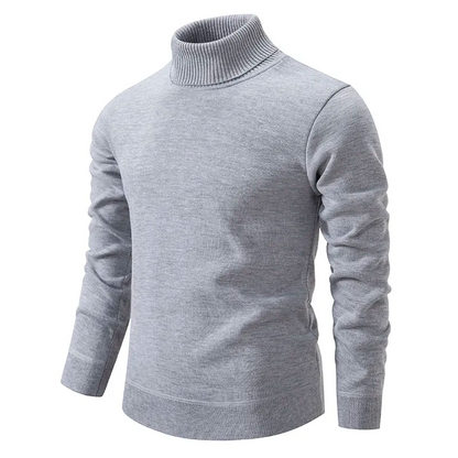 David | Chic Turtleneck For Men