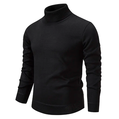 David | Chic Turtleneck For Men