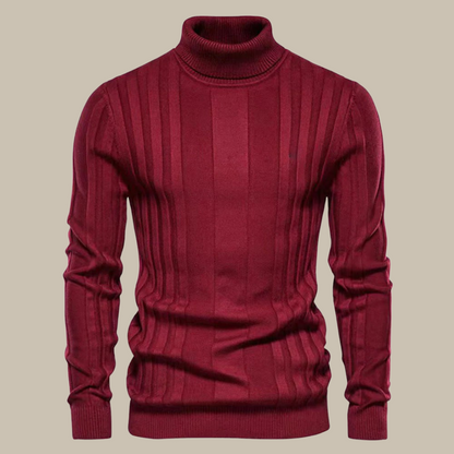 Dani | Casual Turtleneck For Men